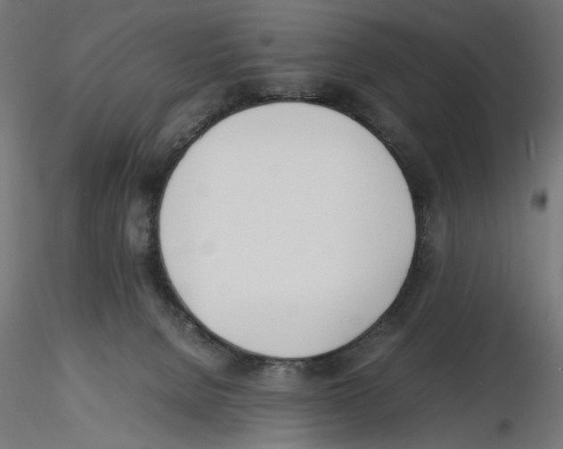 X0000116460080201001061047