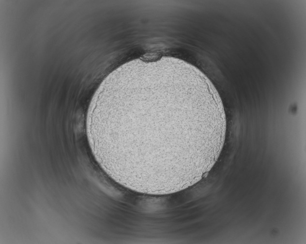 X0000116460081201001061047