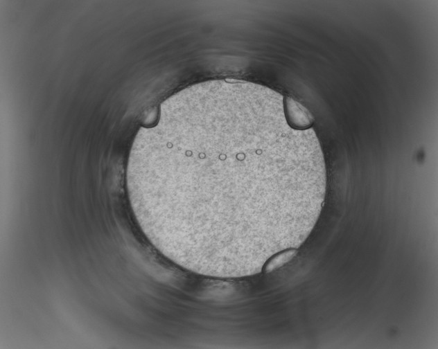 X0000116460083201001061047