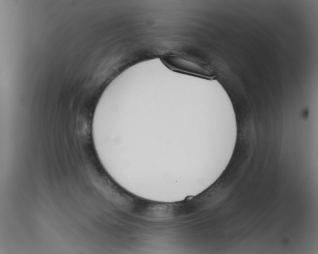X0000116460084201001061047