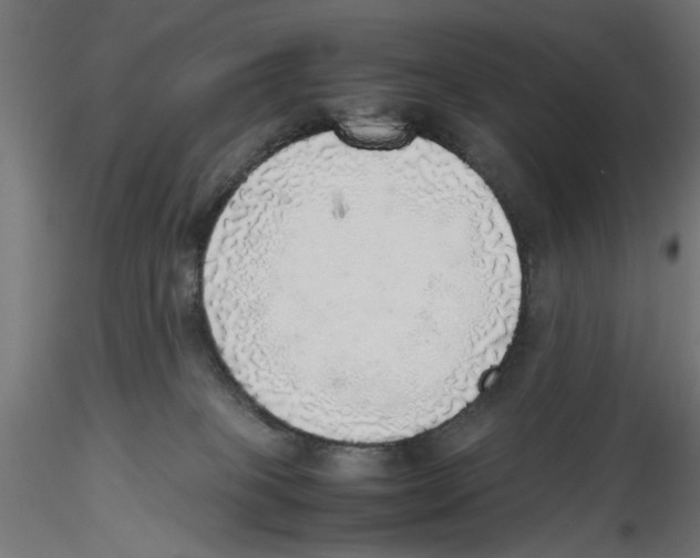 X0000116460085201001061047