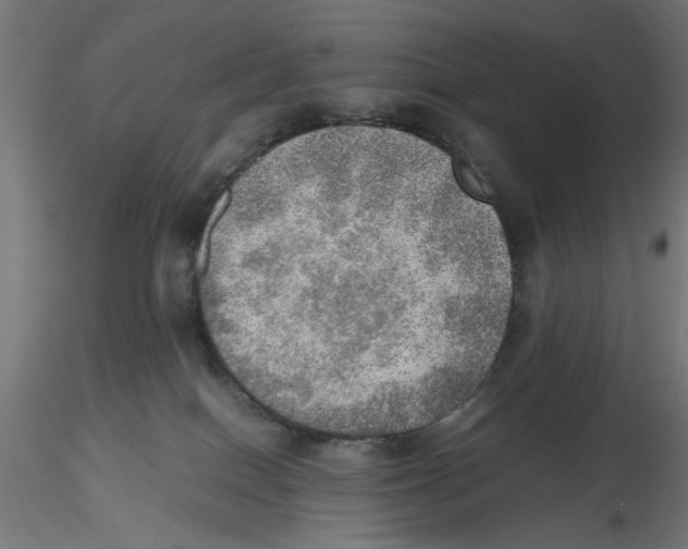 X0000116460086201001061047