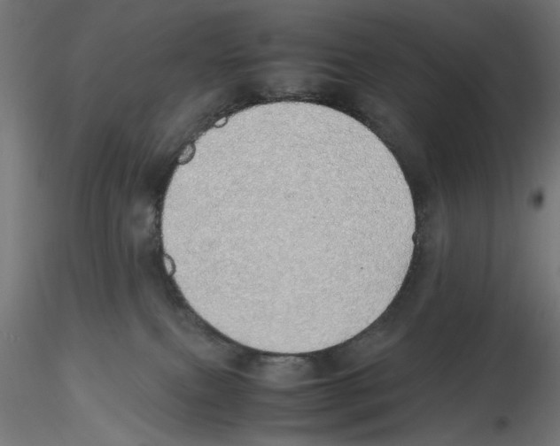 X0000116460087201001061047