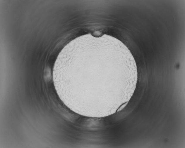 X0000116460089201001061047