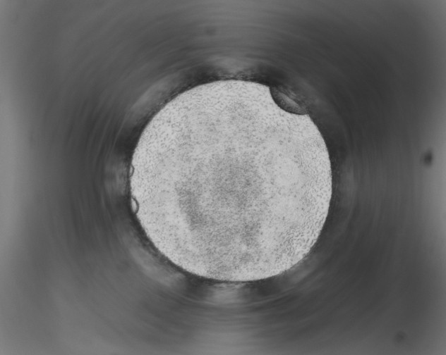 X0000116460090201001061047