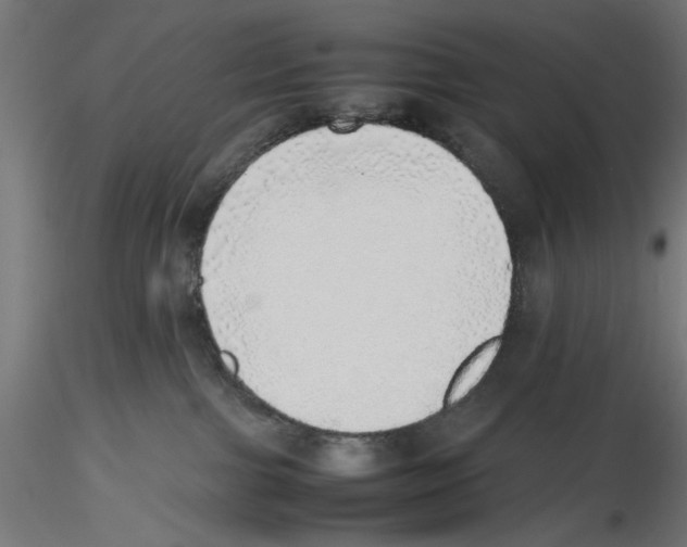 X0000116460091201001061047