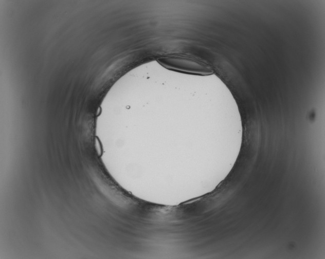 X0000116460092201001061047