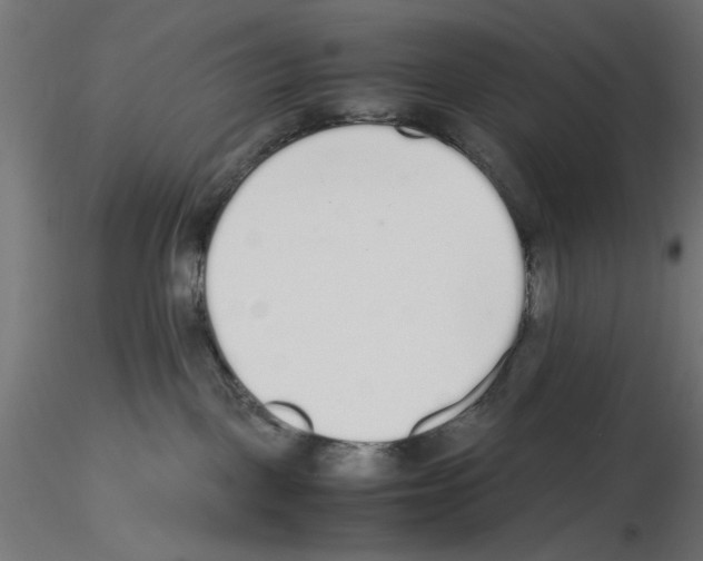 X0000116460093201001061047