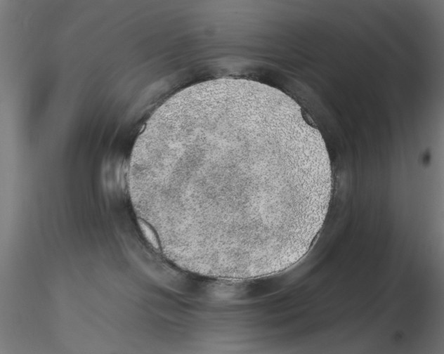 X0000116460094201001061047