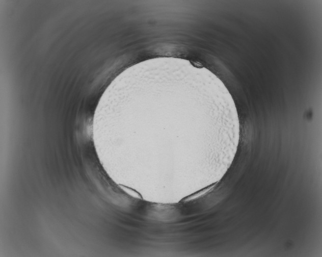 X0000116460095201001061047