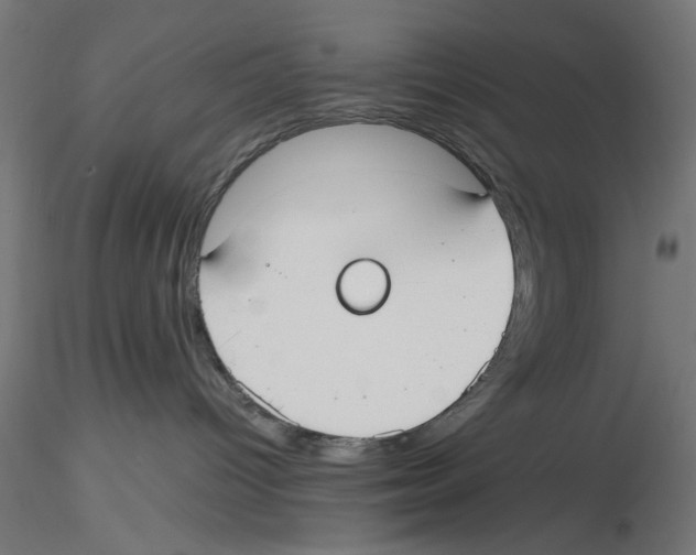 X0000116460096201001061047