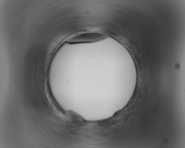X0000116460097201001061046