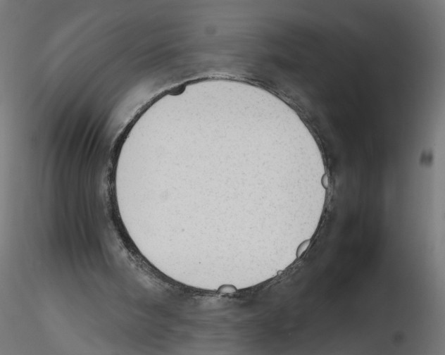X0000116460098201001061046