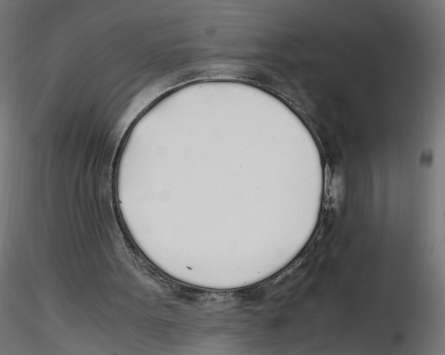 X0000116460099201001061046