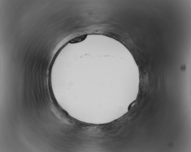 X0000116460100201001061046
