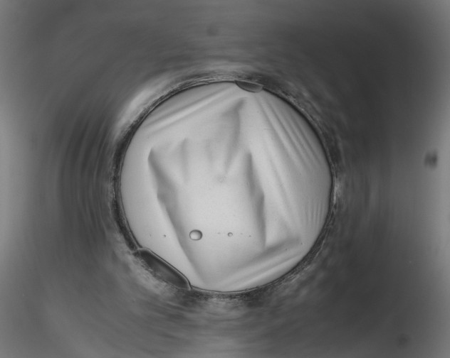X0000116460101201001061046