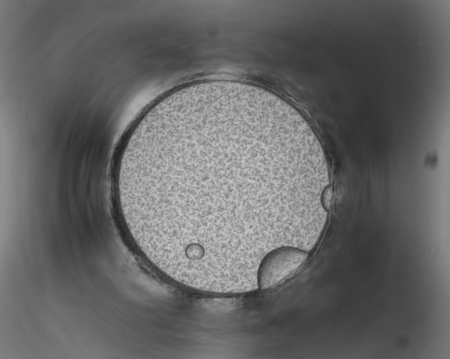 X0000116460102201001061046
