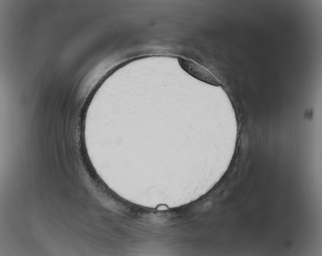 X0000116460103201001061046