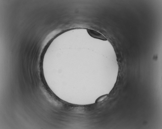 X0000116460104201001061046