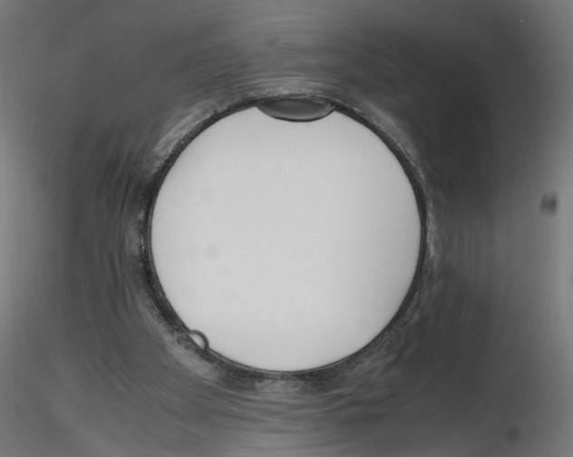 X0000116460105201001061046
