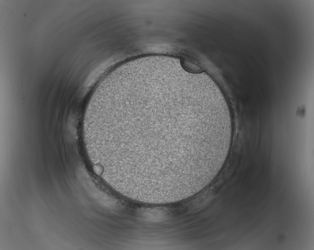 X0000116460106201001061046
