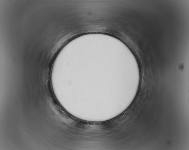 X0000116460107201001061046