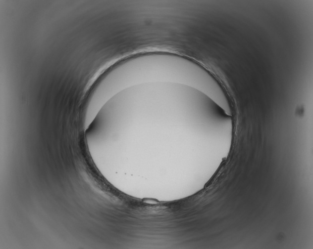 X0000116460108201001061046