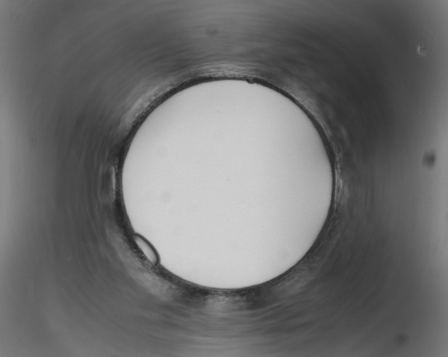 X0000116460109201001061046