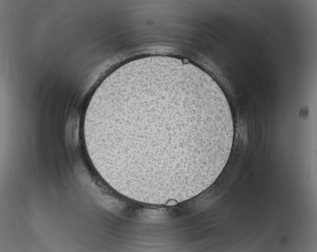 X0000116460110201001061046