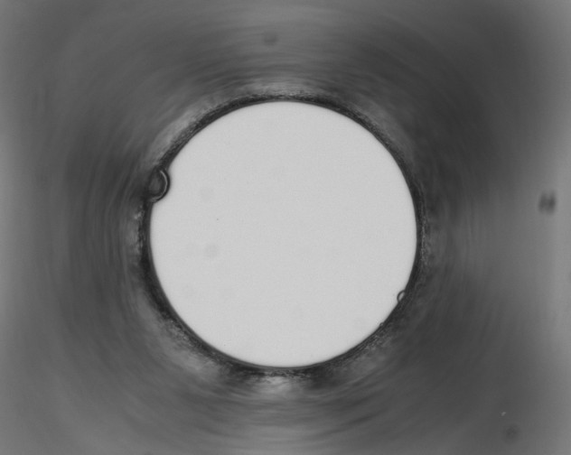 X0000116460111201001061046