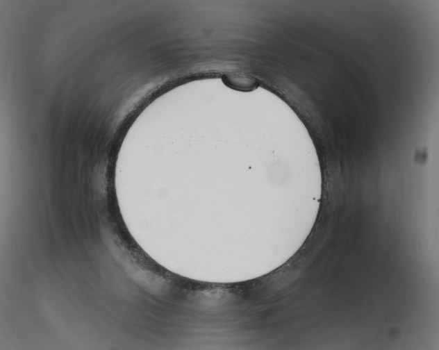 X0000116460112201001061046