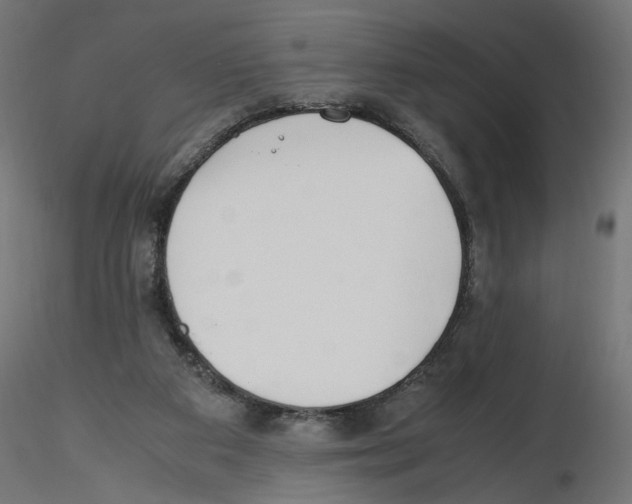 X0000116460113201001061046