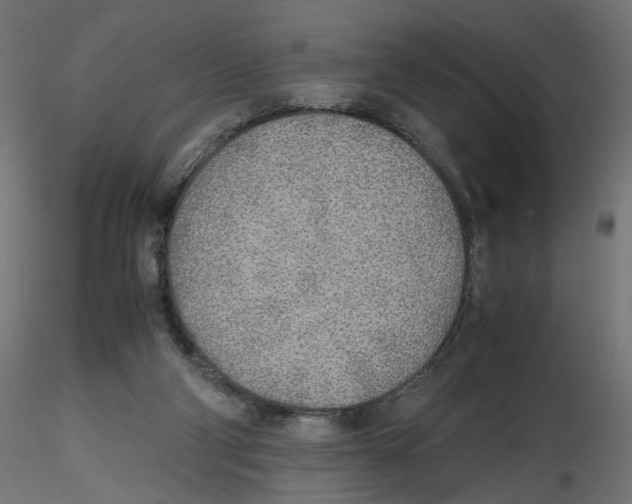 X0000116460114201001061046