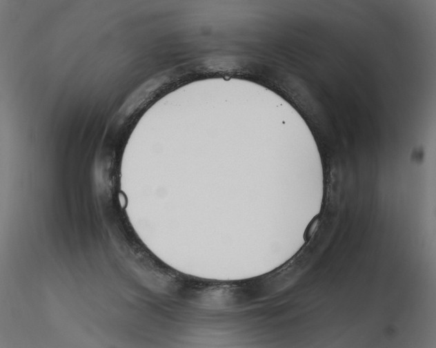 X0000116460116201001061046