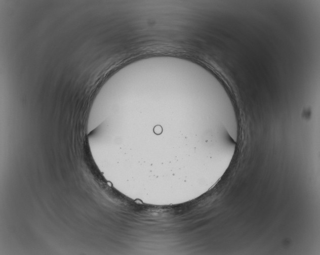 X0000116460117201001061046