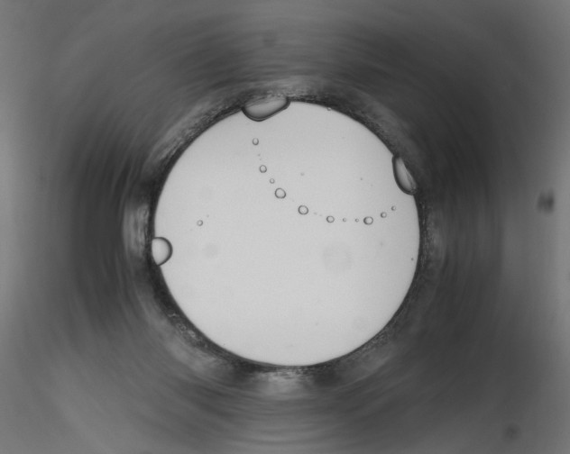 X0000116460118201001061046