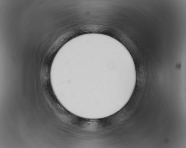 X0000116460119201001061046