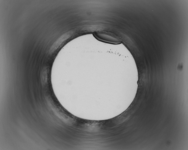 X0000116460120201001061046