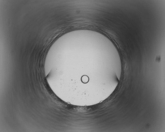 X0000116460121201001061046