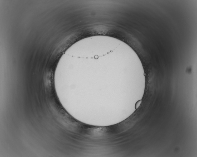 X0000116460122201001061046