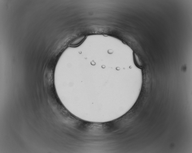 X0000116460123201001061046
