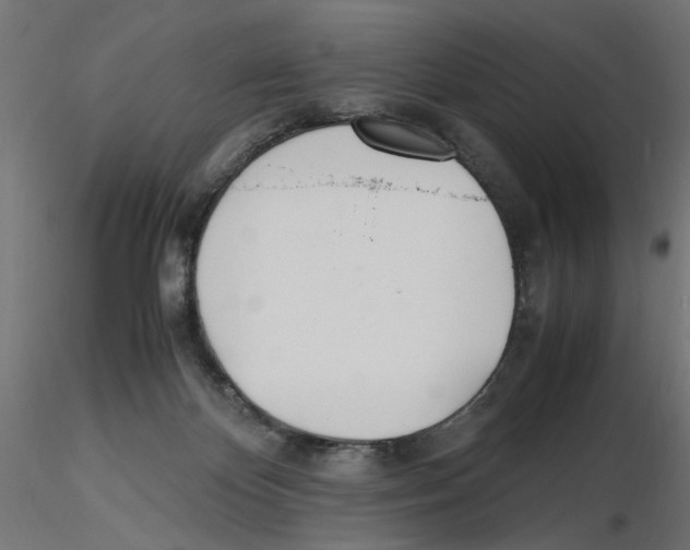 X0000116460124201001061046