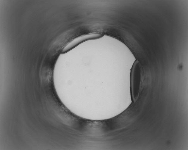 X0000116460125201001061046