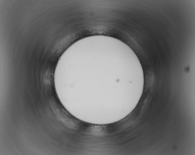 X0000116460126201001061046