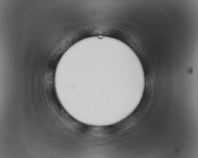 X0000116460127201001061046