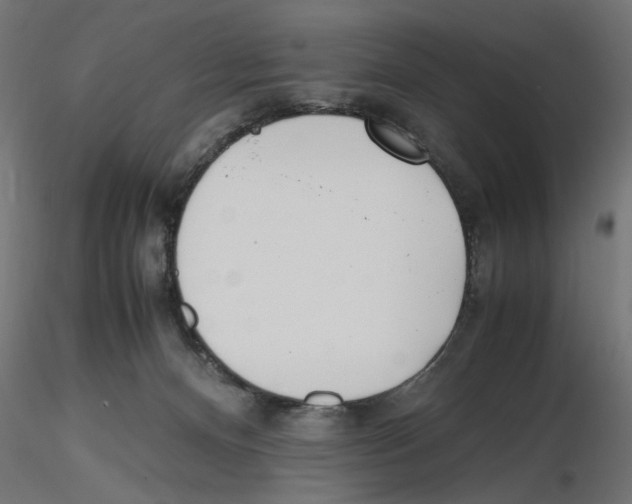 X0000116460128201001061046