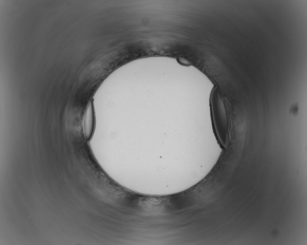 X0000116460129201001061046