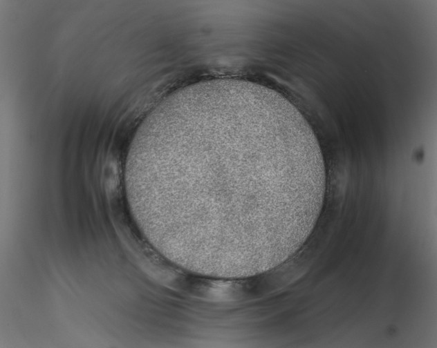X0000116460130201001061046