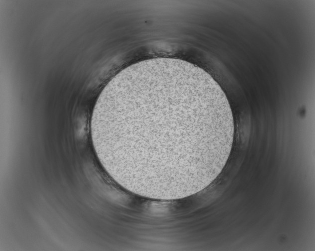 X0000116460134201001061046