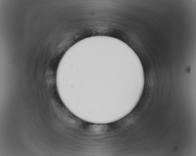 X0000116460135201001061046